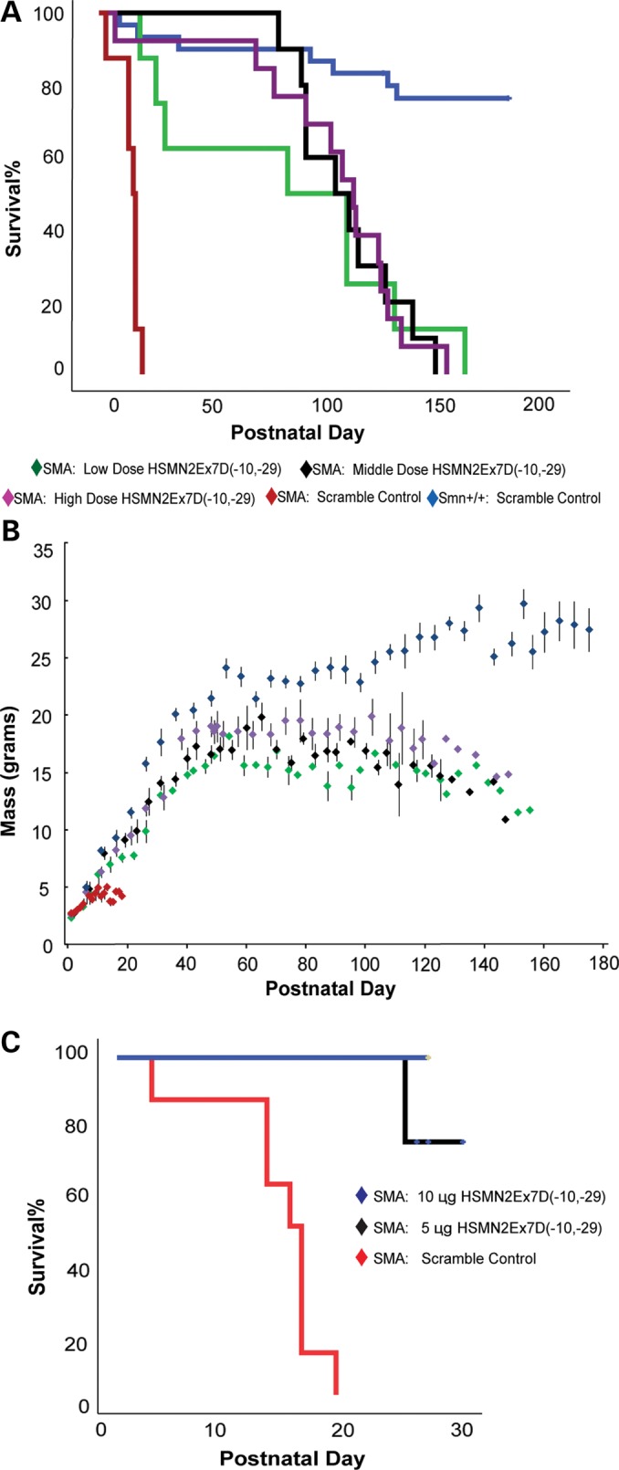 Figure 6.