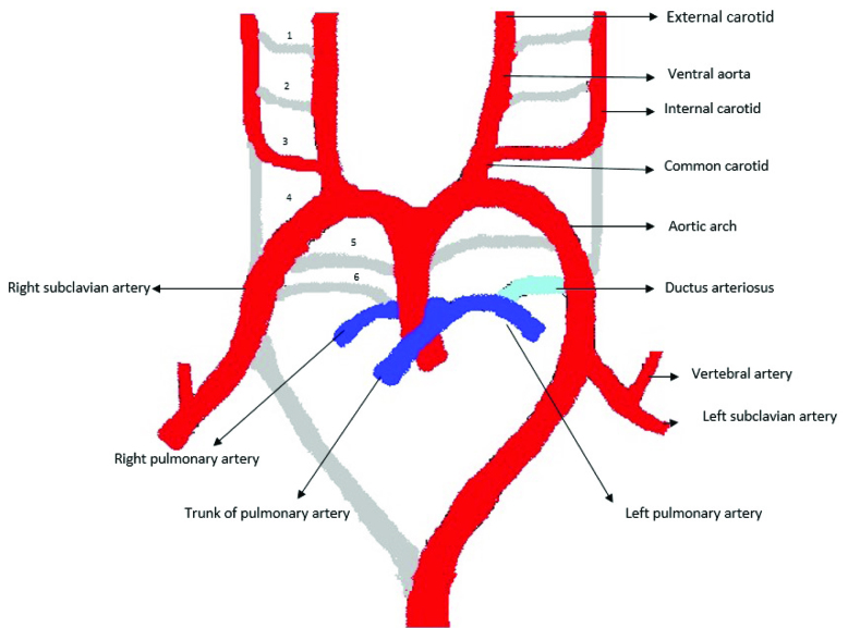 [Table/Fig-4]: