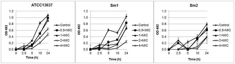 Figure 2