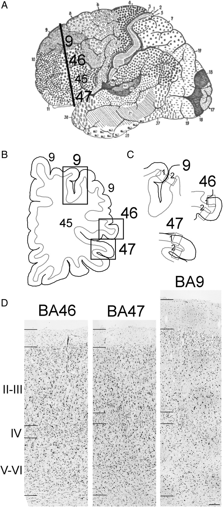 Figure 1.