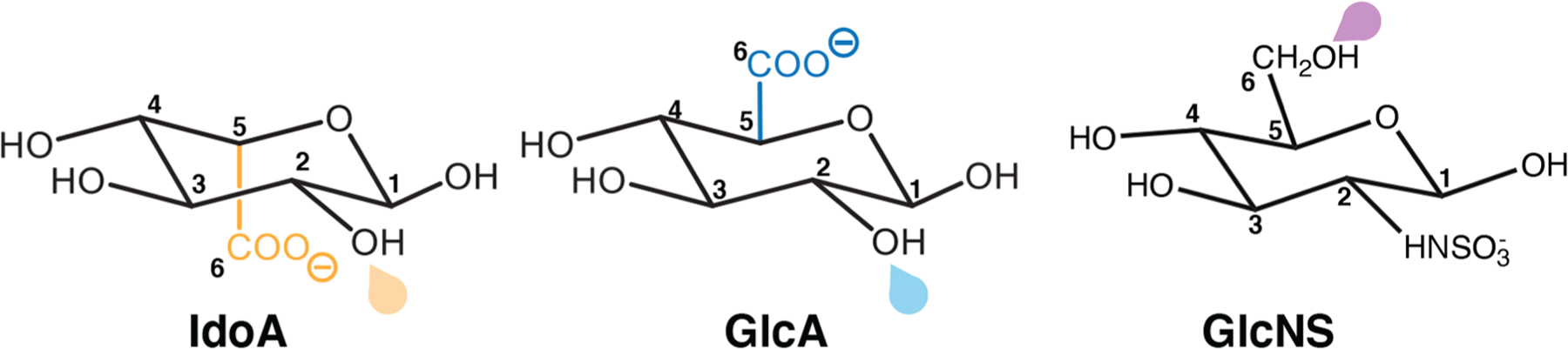 Scheme 1.