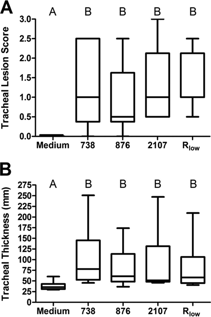 FIG 6