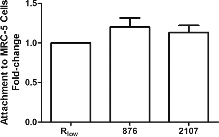 FIG 5