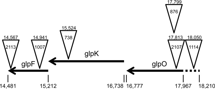 FIG 2