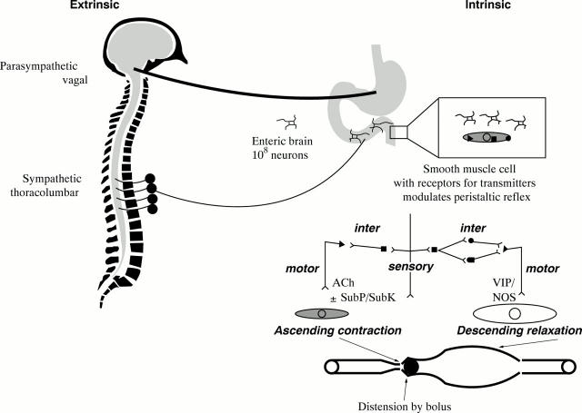 Figure 1  