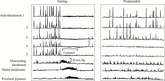 Figure 2  