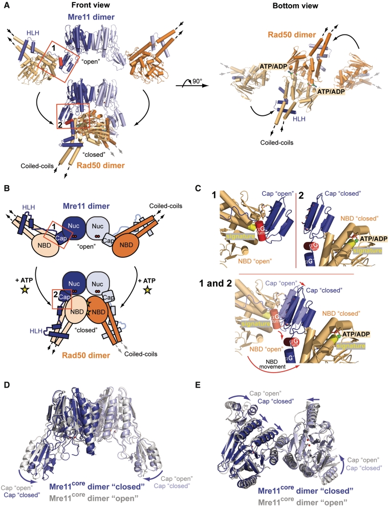 Figure 2.