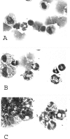 FIG. 5.