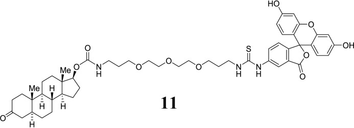 SCHEME 3.