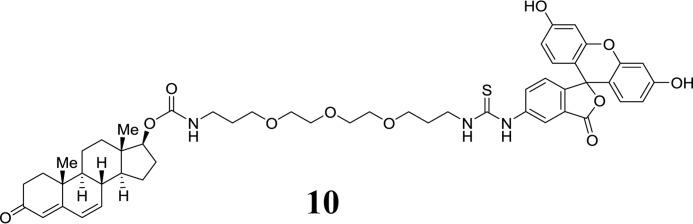 SCHEME 6.