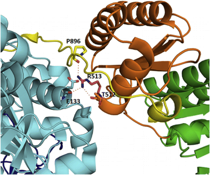 Fig. 18