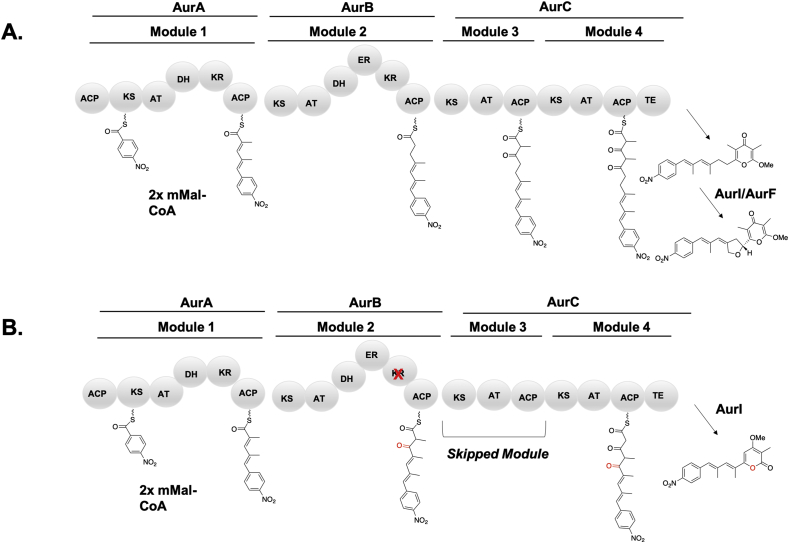 Fig. 19