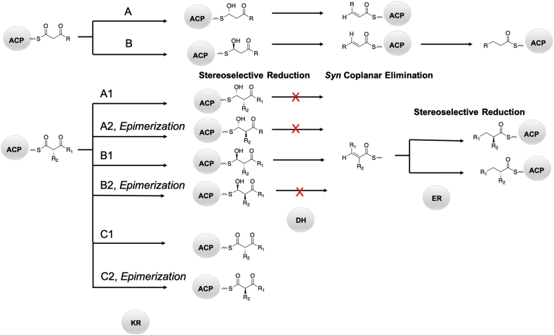 Fig. 10