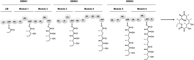 Fig. 1