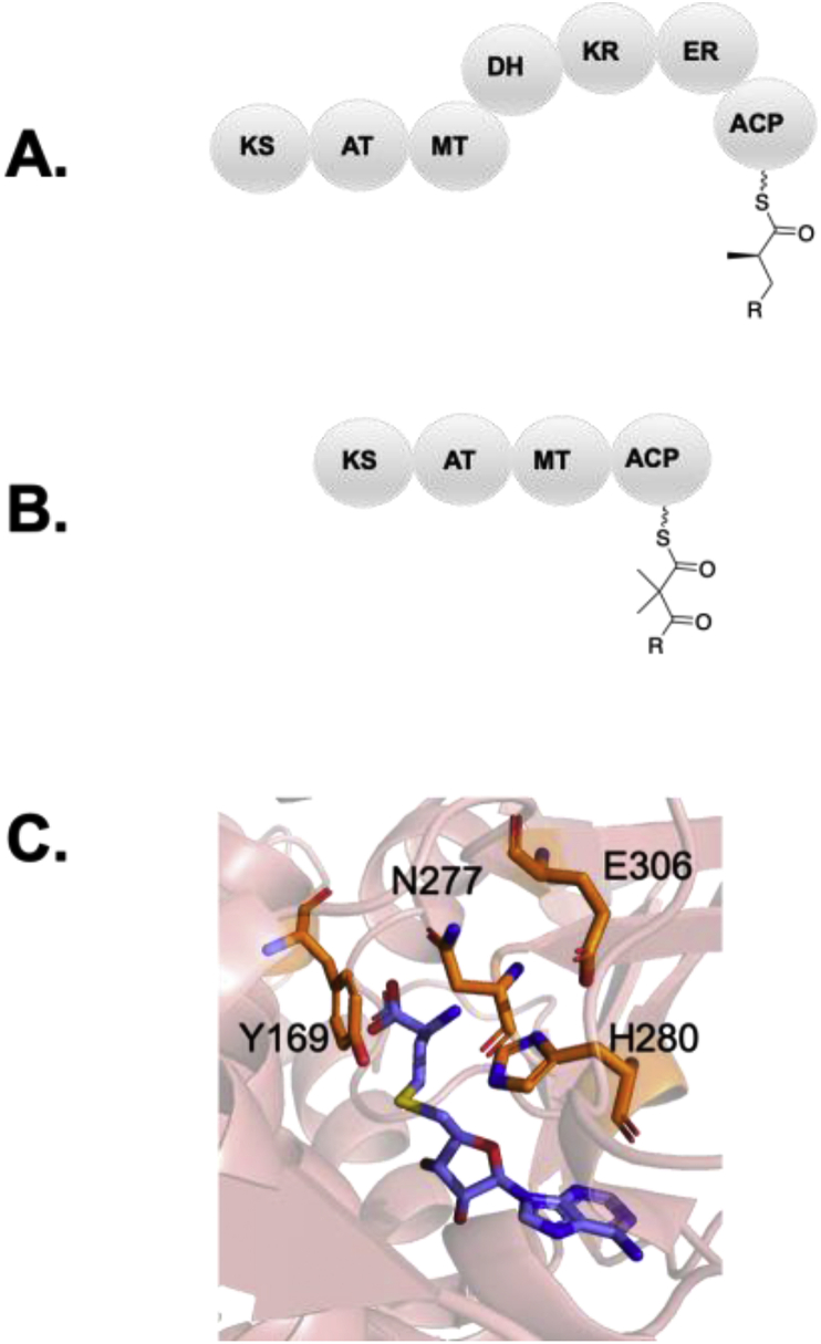 Fig. 6