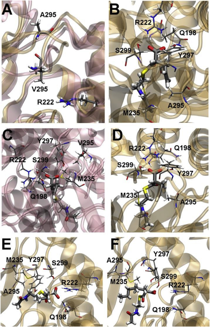 Fig. 8