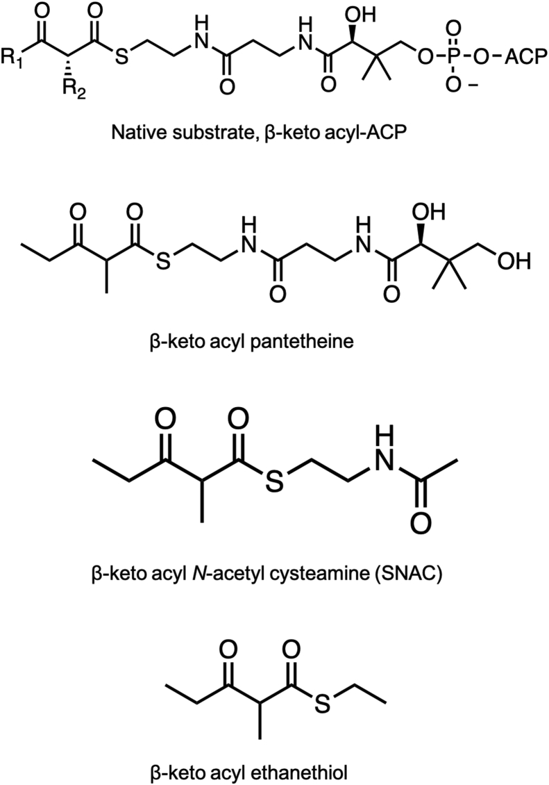 Fig. 13