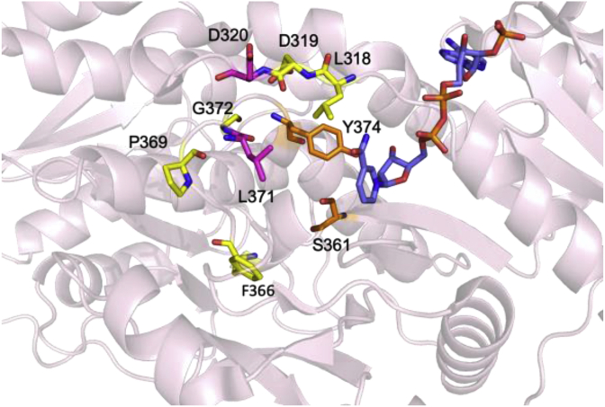 Fig. 12