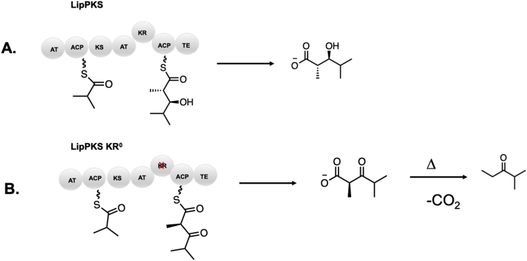 Fig. 9