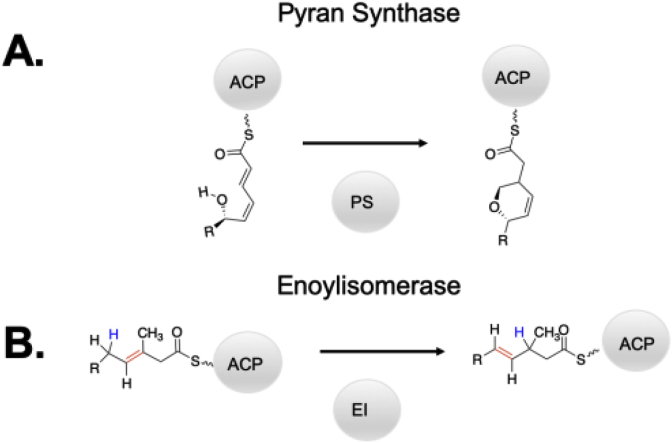 Fig. 14