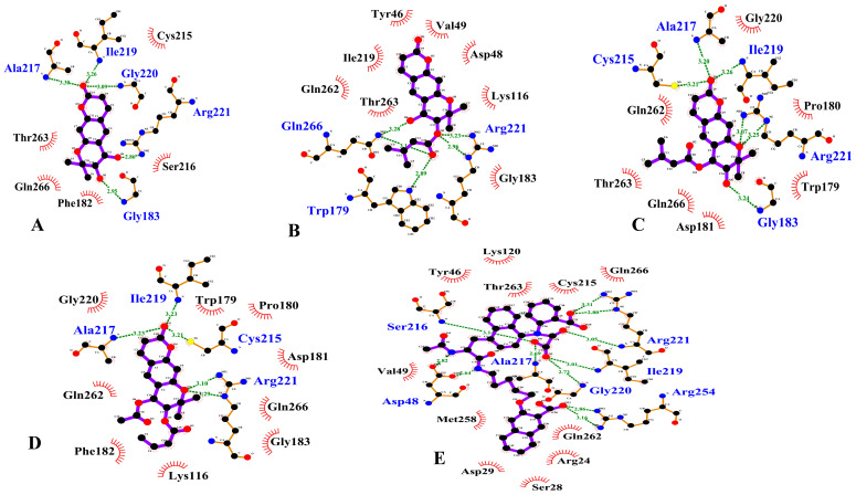 Figure 2