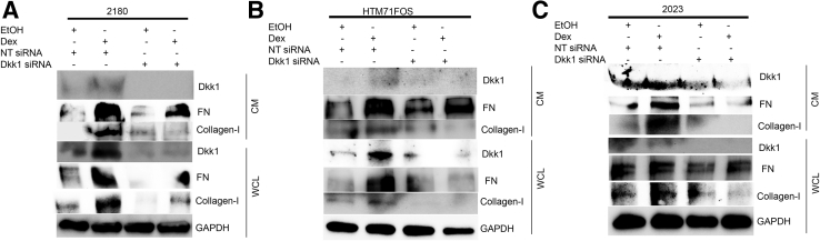 Figure 7