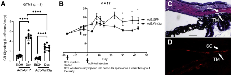 Figure 9