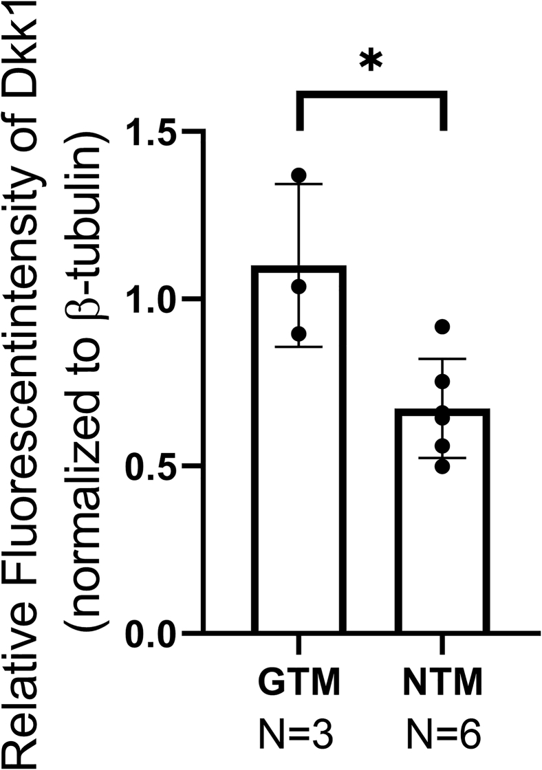 Supplemental Figure S1