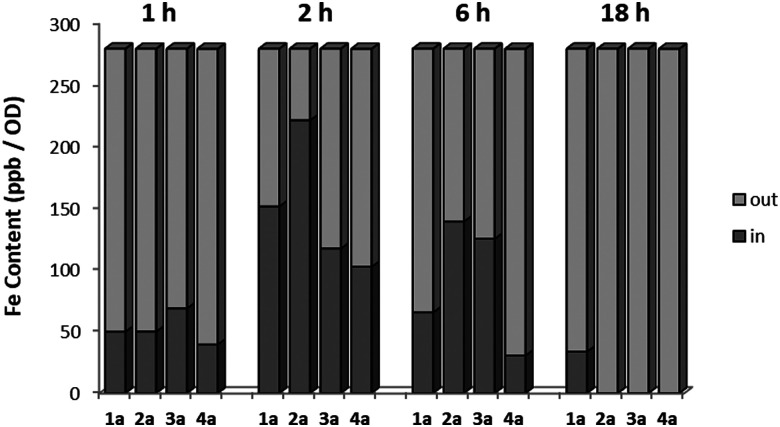 Fig. 3