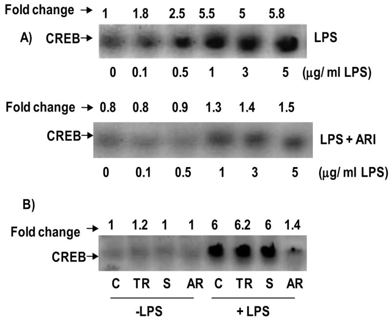 Fig.3