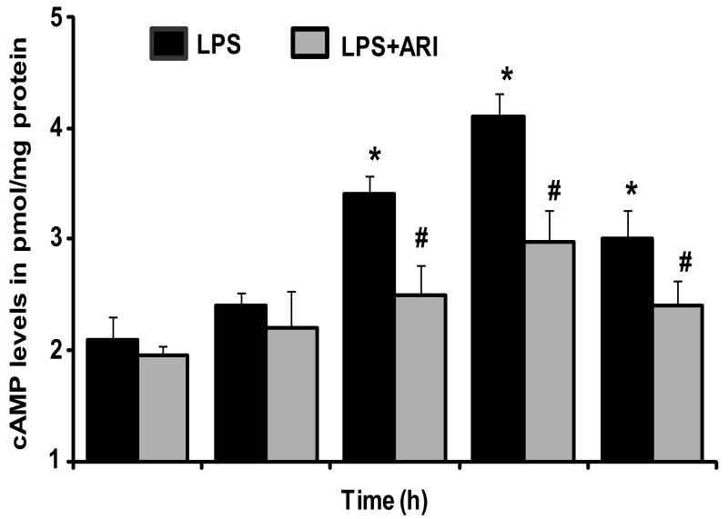 Fig.4