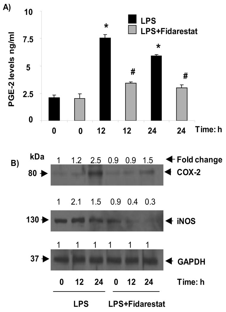 Fig.6