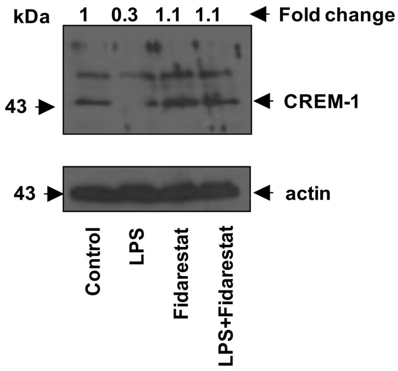 Fig.7