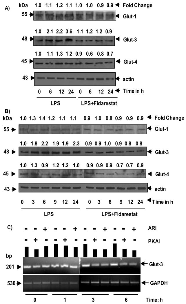 Fig.1