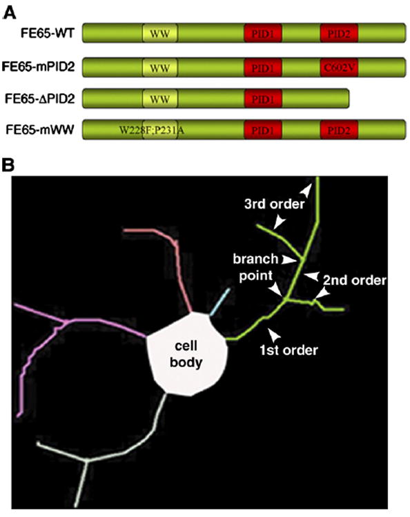 Fig. 1