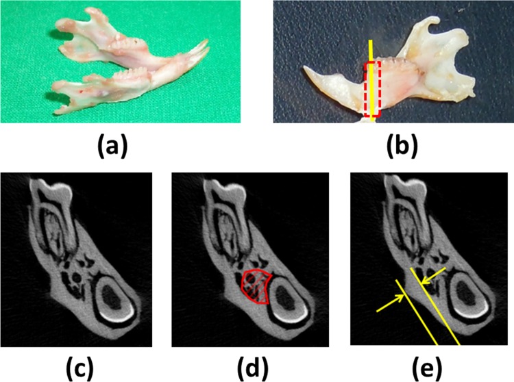 Fig 2