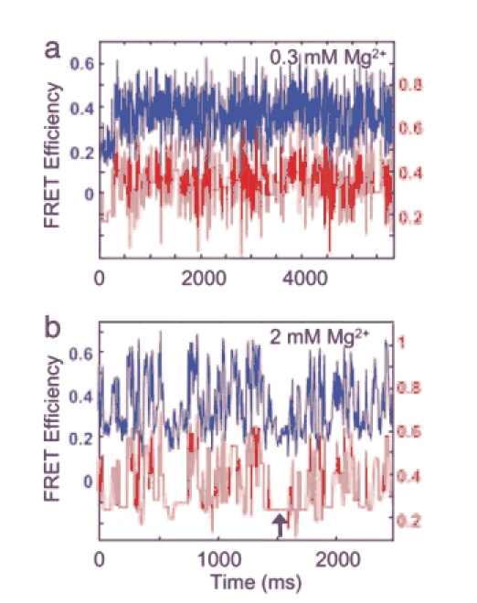 Fig. 3.