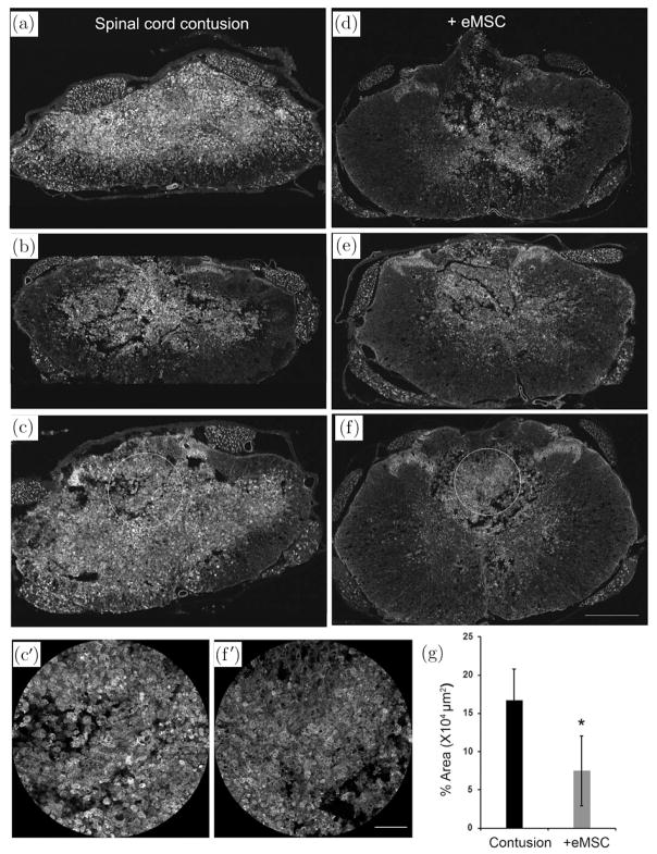 Fig. 5