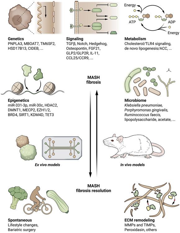 Figure 2: