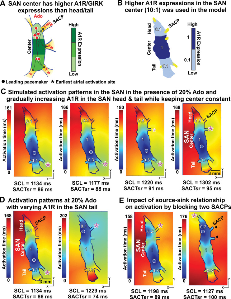 Fig 4