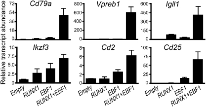 Fig. 4.