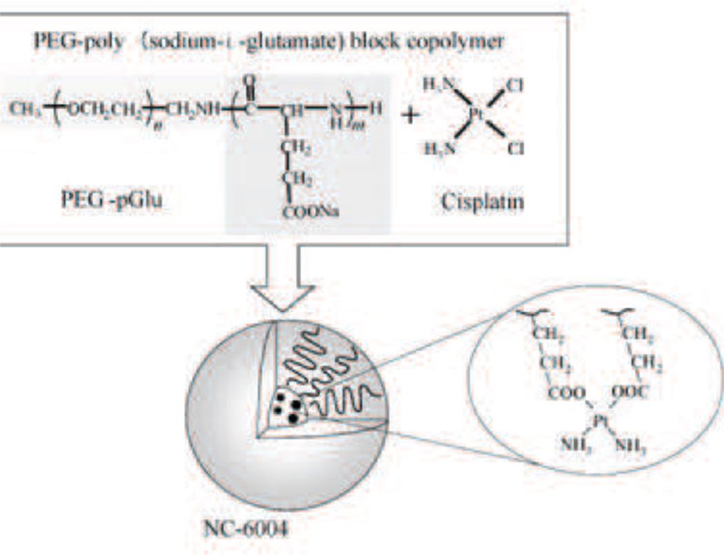 Fig. 13