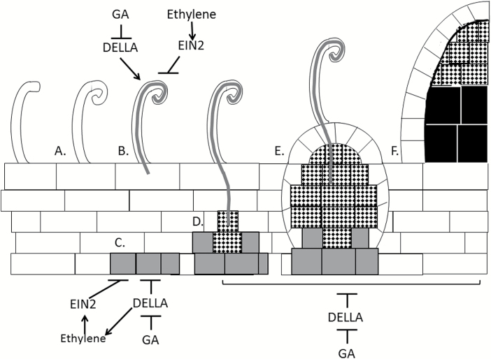 Fig. 8.