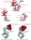 Figure 2—figure supplement 3.