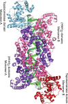 Figure 2—figure supplement 1.