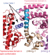 Figure 2—figure supplement 2.