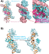 Figure 2—figure supplement 4.