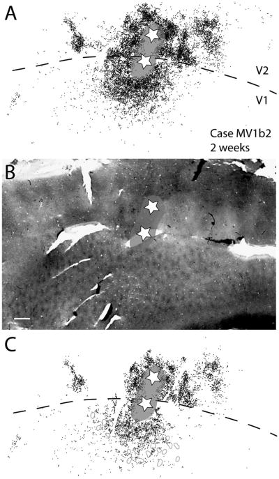 Figure 13