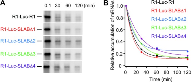 Fig 6