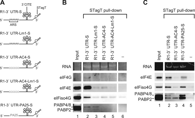 Fig 9